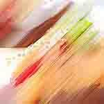 menu-item-20